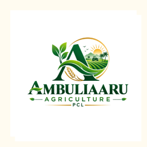 Ambuliaaru