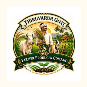 Thiruvarur Goat FPCL